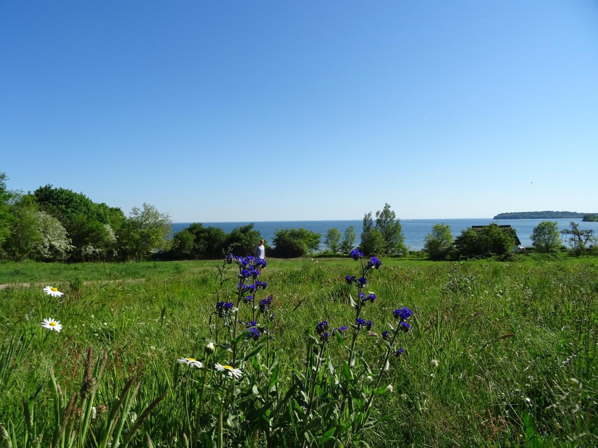 Appartement Werft & Meer Lauterbach  Luaran gambar
