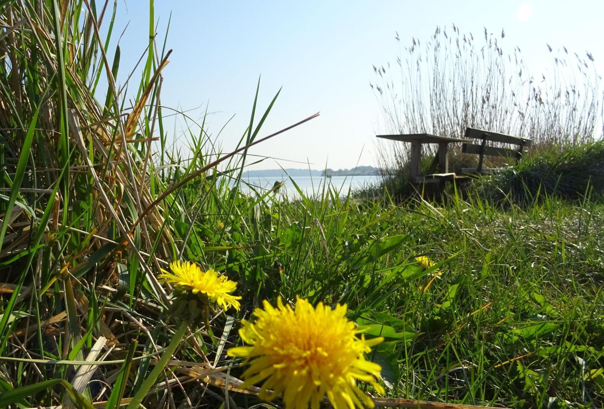 Appartement Werft & Meer Lauterbach  Luaran gambar